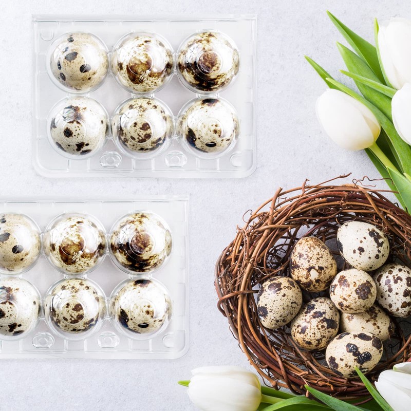 Vegena Quail Egg Boxes - Pack of 50 Quail Egg
