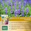 Hanan Tarwi Chocho 100% Natural Andean Lupin Powder for High-Quality