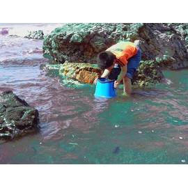 山研工業(Yamaken Kogyo)たこめがね(ロング) Y101 ブルー 高さ35.5cm、レンズ/長径28cm、短径20.5cm