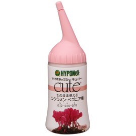 haiponekkusu Cute sikuramen Begonia For 150ml