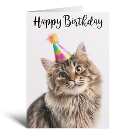 Postcard Prints - Birthday Card For Anyone Birthday Card For Friend Birthday Card For Her or For Him Persian Longhair Cat Birthday Card For Son or Daughter