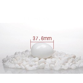10pcs Solid Plastic Eggs Dummy Eggs For pigeons white