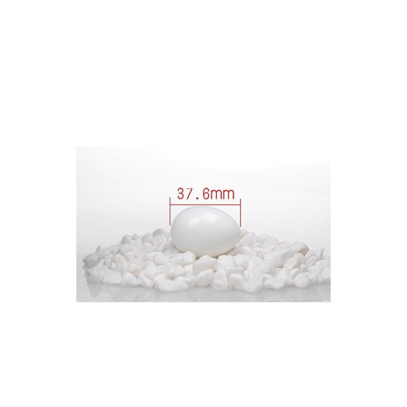 10pcs Solid Plastic Eggs Dummy Eggs For pigeons white