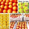 50 Pieces Fruit Protection Bags Foam Mesh Keep Safe Mesh