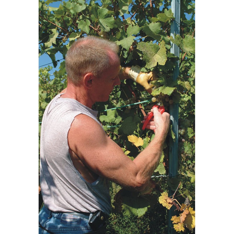 Felco F310 Pruning Snips – 7.3" Lightweight Garden Clippers for