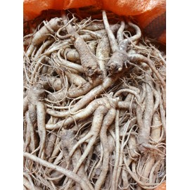 Dried Bellflower Gilgyeong Special 200g Yeongju, Gyeongbuk / 건도라지 길경 특품200g 경북영주