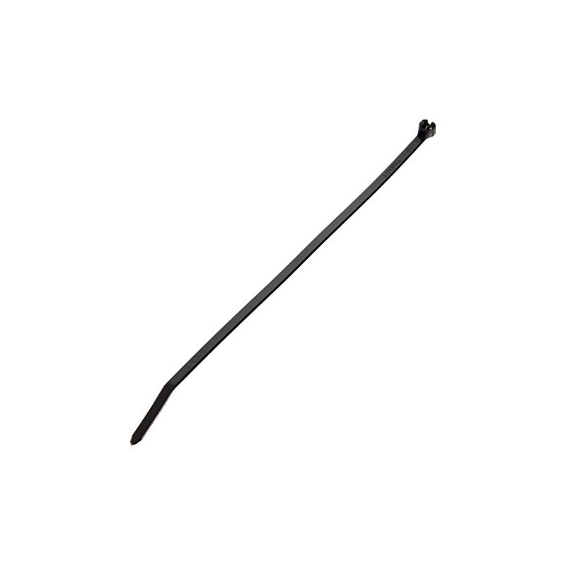パンドウイット ステンレス爪ロック式ナイロン結束バンド 耐候性黒 幅3.6mm 長さ203mm 100本入り BT2I-C0