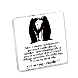 MAOFAED Penguin Gift, You're My Penguin Desk Plate for Couples/Friend, Anniversary Present, Penguin Lover Gift(myPenguinLPCA)