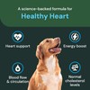 VETRISCIENCE Veterinary Strength Healthy Heart Chews - Heart & Energy