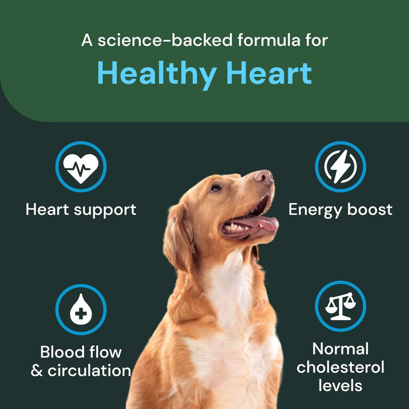 VETRISCIENCE Veterinary Strength Healthy Heart Chews - Heart & Energy