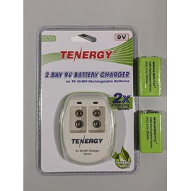 Garrett Recharger Kit for Garrett SuperWand and THD - 2 NiMH Batteries and 110 Volt 1612000