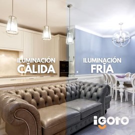 iGoto F3P10115 Pack de 3 Focos Led Consume 15w Reemplaza 100w A55 Luz Fria 6,500k 1,350 lm Omnidireccional Intensidad de corriente 240mA Altura de... 