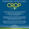 CROP BY POP - Organic Raw Brazil Nuts (16 Oz