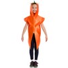 Charlie Crow Carrot Vegetable Costume for kids 3-8 years.