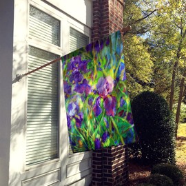 Caroline's Treasures PJC1045CHF Iris by The Well Flag Canvas House Size, Large, Multicolor