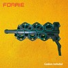 FORRIE LOWER Intake Manifold with Gaskets Pre-installed for Non-Turbo 3.3L,3.5L,3.7L