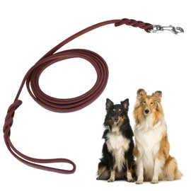 Acouto Correa para de Cuero Trenzado y PU- 2m Ajustable - Ideal para s Medianos para Caminar Correr con Mosquetón de Langosta Antioxidable - Control Seguro en Actividades Exteriore