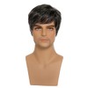 AIYLMZ Short Black Straight Side Part Wigs for Men with