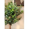 Nearly Natural 5960 4.5' Olive Topiary Tree with European Barrel
