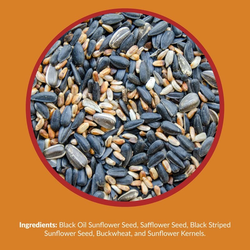 Lyric Cardinal Wild Bird Seed - Sunflower & Safflower Premium