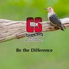C&S Woodpecker Suet Nuggets, Outdoor Wild Bird Food for Woodpeckers,