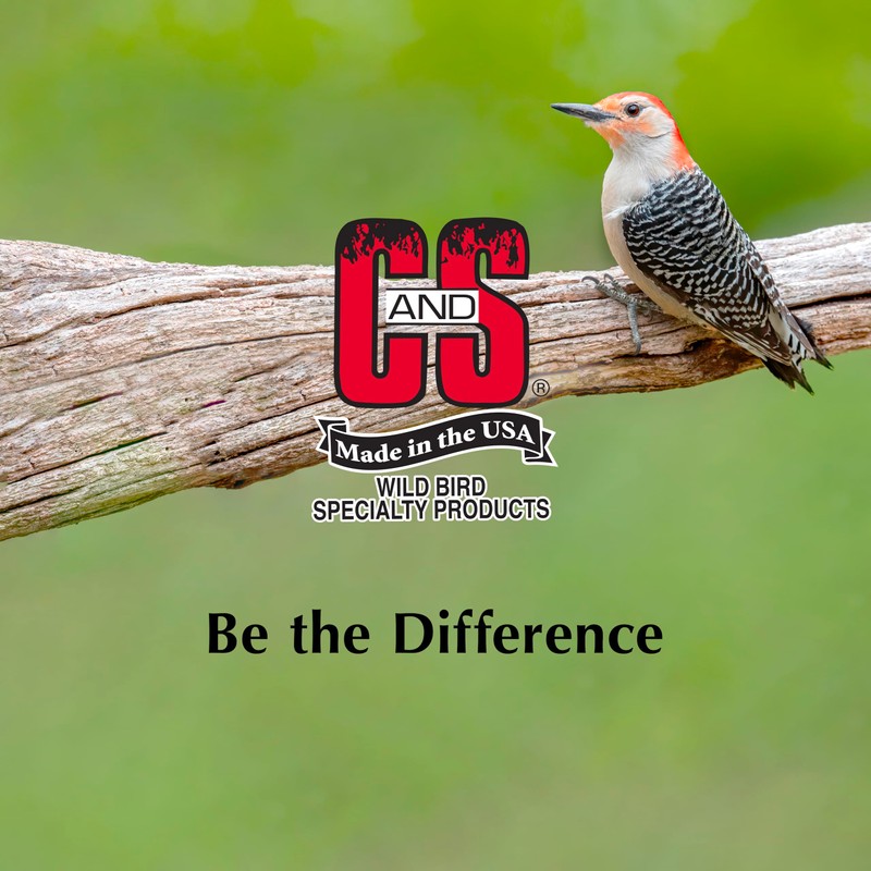 C&S Woodpecker Suet Nuggets, Outdoor Wild Bird Food for Woodpeckers,