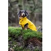 Rukka Pets Stream Raincoat for Dogs Yellow 70