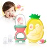 HAOBAOBEI Baby Fruit Food Feeder - Silicone Nibble Tray Combo