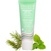 Pacifica - exfoliante para piel cabelludo desintoxicante para romero, 4