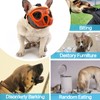 Short Snout Dog Muzzle Bulldog Muzzle Adjustable Breathable Mesh for
