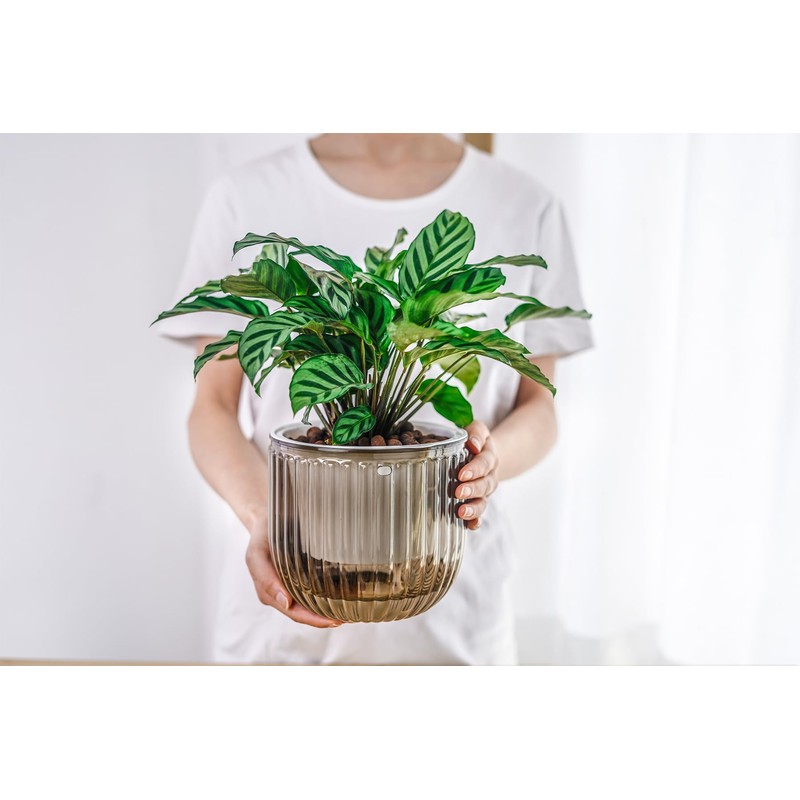 Melphoe Melphoe 2 Pack Self Watering Hanging Planters Indoor Flower