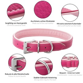 Schnüffelfreunde Fun Line Leather Dog Collar for Large, Medium and Small Dogs, Leather Collar for Dogs, Padded and Robust (M - 28-36 cm, Pink)