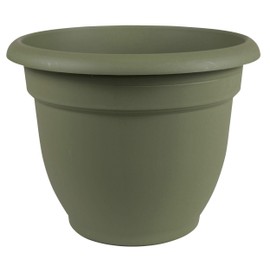 Bloem 20-56416 Planter, 16", Living Green