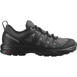 Salomon Women's X Braze GTX Trail Running and Hiking Shoe, Magnet/Black/Black, 6.5 US