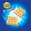 Honey Maid Lil' Squares Honey Graham Crackers, Bulk Lunch Snacks,