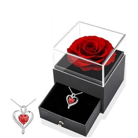 Probuk Heart Pendant Silver Chain Women's Jewellery Gift Women Pendant Gift for Valentine's Day Necklace Women's Heart Ruby Necklace for Wife Women MaMa Girlfriend, Stone