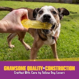 Gnawsome Medium Squeaker Bone for Dogs                                                                                                                
