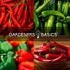 Gardeners Basics, Pepper Seeds for Planting 8 Varieties Pack, Jalapeno,