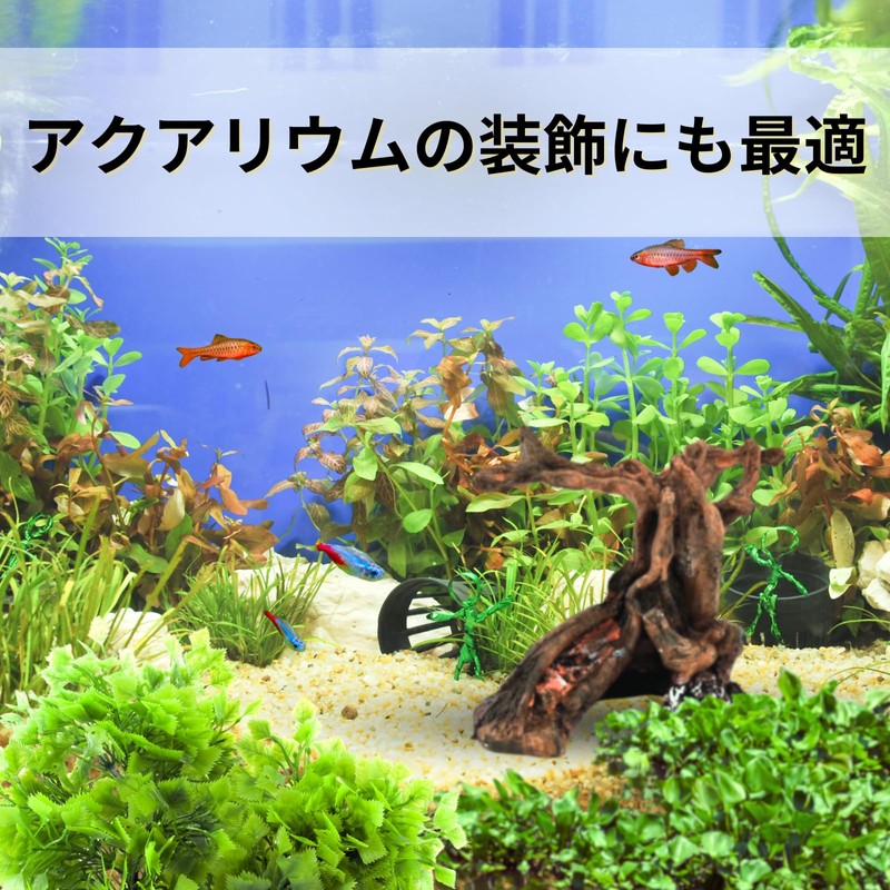 Nanarico Reptile Driftwood Climbing Trees Terrarium Aqua Terrarium Aquarium Decorative