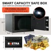 ​BOSTRA Mini Safe Box (0.23 Cu Ft) – Tiny But