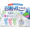 Bioreu Foaming Hand Soap Pump, 8.5 fl oz (250 ml)