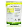 Colágeno Hidrolizado Puro Con Matcha 300g Vidanat / Original Sabor
