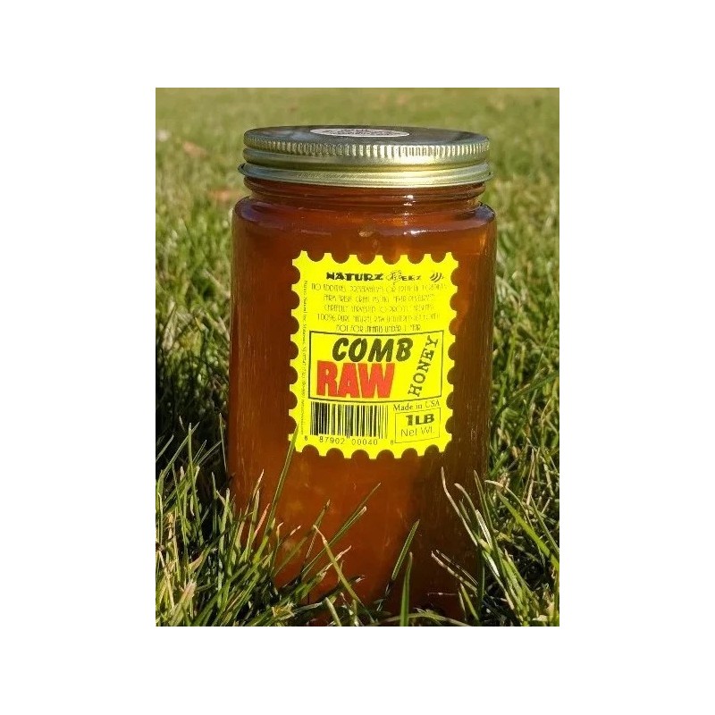 NATURZ BEEZ RAW HONEY COMB 1LB 100% PURE UNFILTERED USA