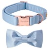 Unique style paws Dog Collar, Blue Silk Dog Collar with