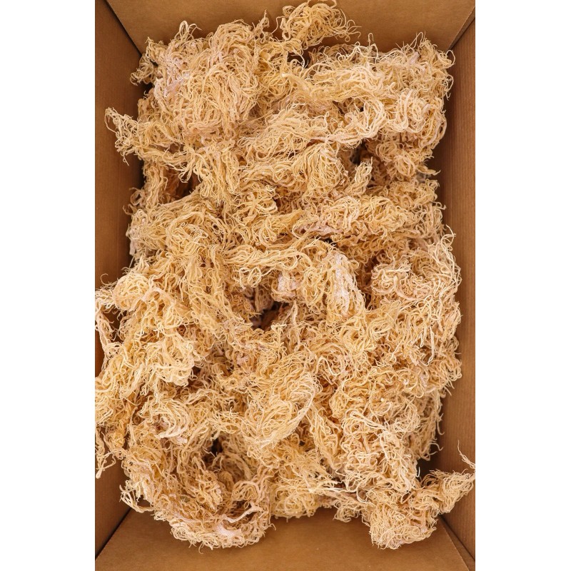 TrueSeaMoss Natural Sea Moss 8oz 100% Wildcrafted Caribbean Seamoss Superfood