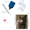 DIAMOND DOTZ Smokey Cat Diamond Painting Kits for Adults -