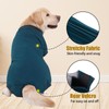 Axcimond Dog Recovery Suit Dog Onesie After Surgery Female Male