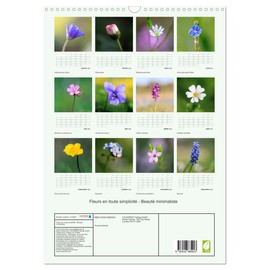 Fleurs en toute simplicité - Beauté minimaliste (Calendrier mural 2026 DIN A3 horizontal), CALVENDO calendrier mensuel: Un calendrier délicat et ... pour douze mois de beauté minimaliste.