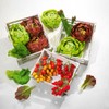 Deco Woerner Decorative Dummy Salad Leaves Set Green Food Dummy
