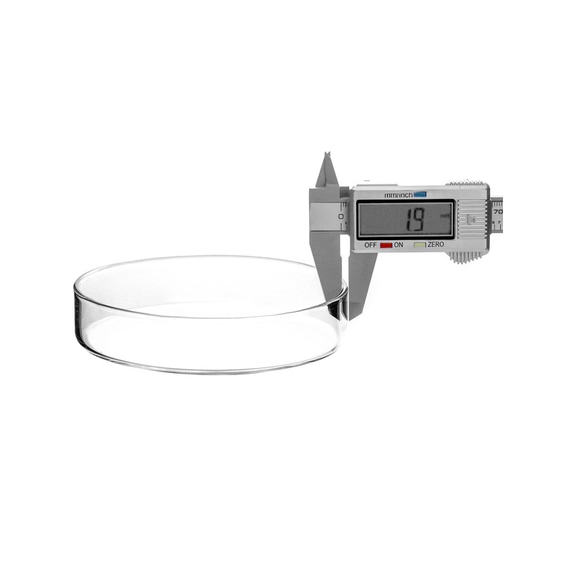 QWORK Glass Petri Dishes with Lid, Thicken, 120mm x 26mm,